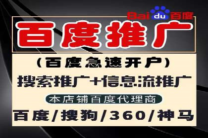 精准营销的秘诀：专业SEM托管的成功故事分享